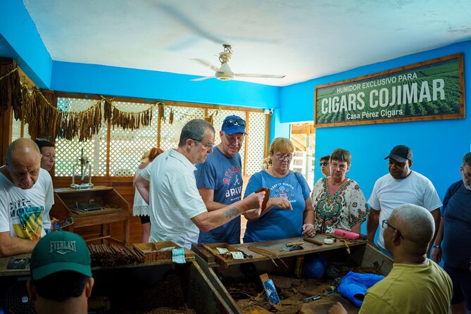 City Tour & Half-Day Safari Experiences - Higüey’s Basilica and the Dominican Religious Tradition