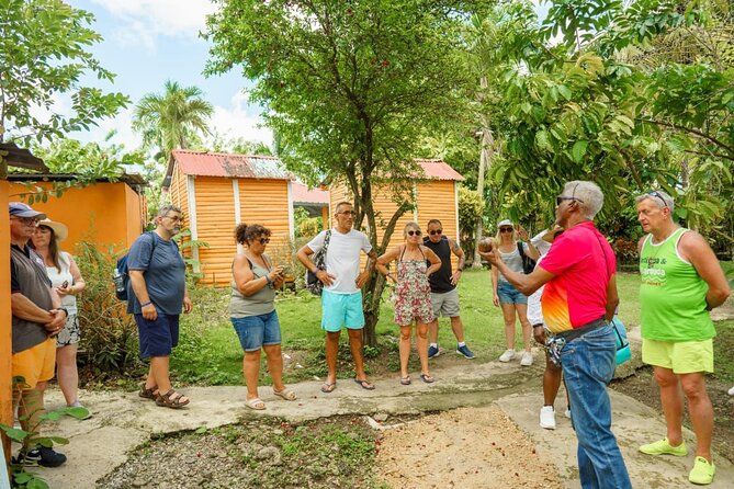 City Tour & Half-Day Safari Experiences - Is $45 a Fair Price for Five Hours?