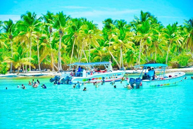 Day Trip to Saona Island with Lunch and Open Bar - Why Saona Island makes a strong Punta Cana day trip