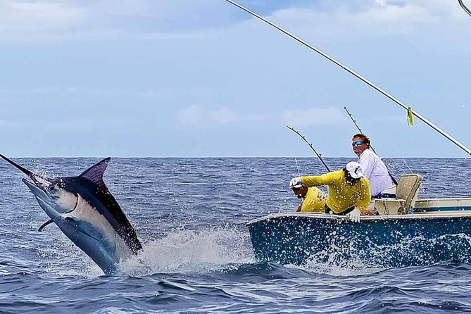 Deep Sea Fishing Half Day - What you might catch in Punta Cana water