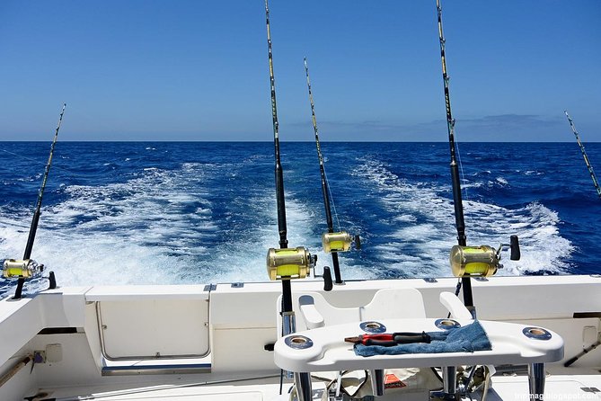 Deep Sea Fishing Tour - The best part for families and first-time anglers