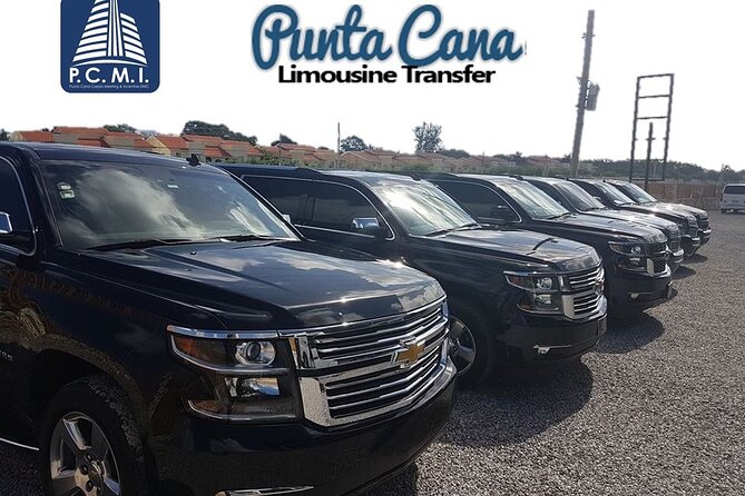 Deluxe SUV Private Round Trip Airport Transfer Uvero Alto Hotels 1-5 Passenger - Your arrival at Punta Cana Airport