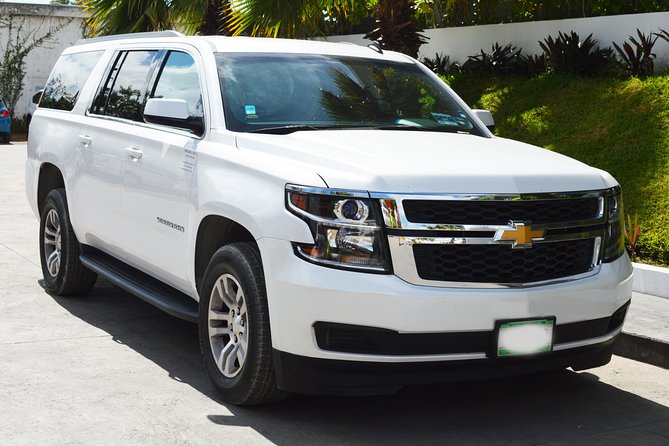 Departure Luxury Transportation: Hotels to Punta Cana International Airport(1-5) - What pickup looks like at your hotel
