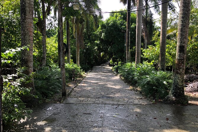 Discover Dominican life - Why this day feels different from resort sightseeing