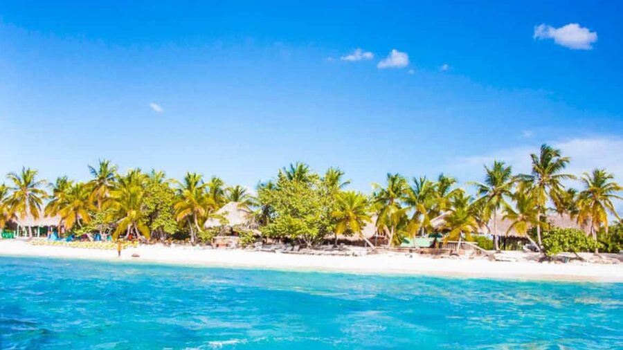 Discover Punta Cana: Full-Day Saona Island All Included - Speedboat out, catamaran back