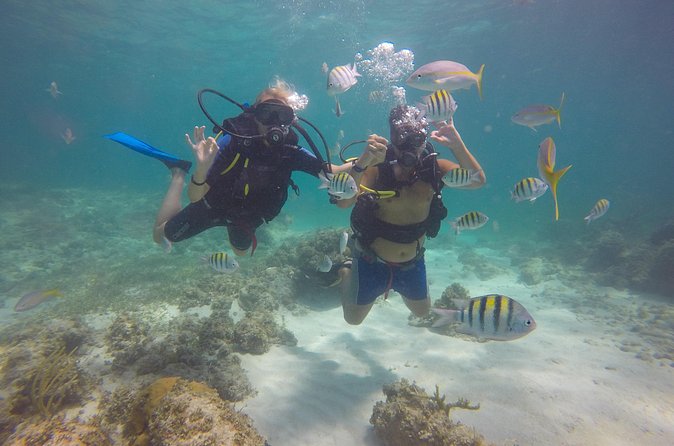 Discover Scuba Diving - DSD - Meeting at Vista Sol Punta Cana