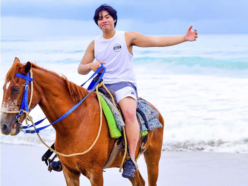 Discover the Trails of Punta Cana on a Horseback Ride - Timing, duration, and the value of $40