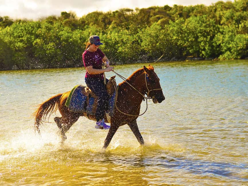 Discover the Trails of Punta Cana on a Horseback Ride - Who will enjoy this ride most