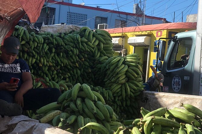 discovery and adventure of the local Dominican life in small group - Sugar cane fields and a difficult side of local life