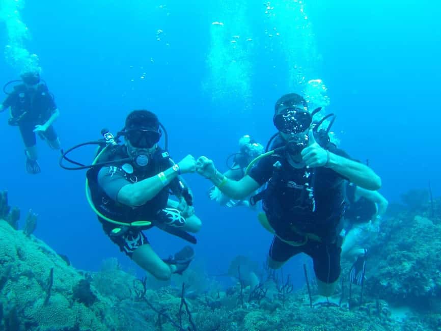 diving without a license catalina island from punta cana - What makes this Catalina Island trip different