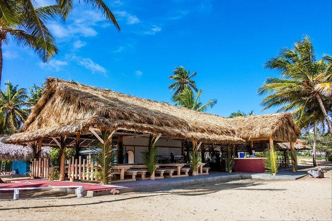 Dominican countryside, culture and beach escape with lunch - Coffee, cocoa, and sugar cane along the route