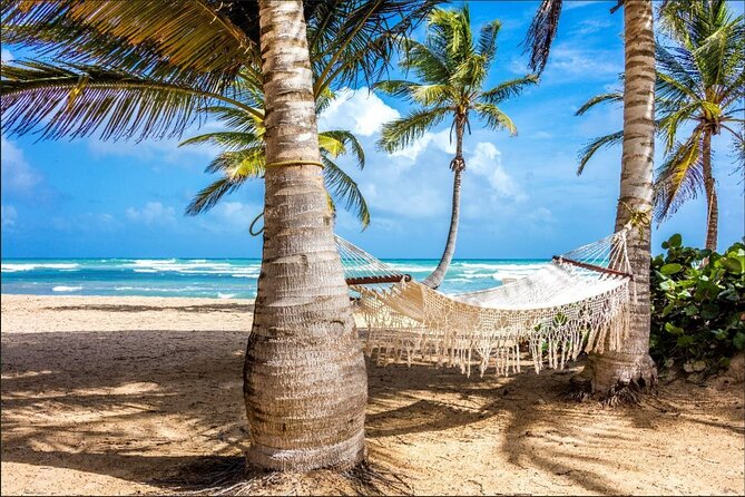Dominican countryside, culture and beach escape with lunch - Lunch, local drinks, and a beach stop