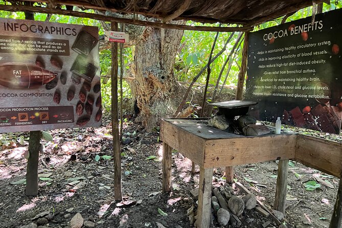 Dominican Culture Tour - Who will enjoy this Higüey outing most?