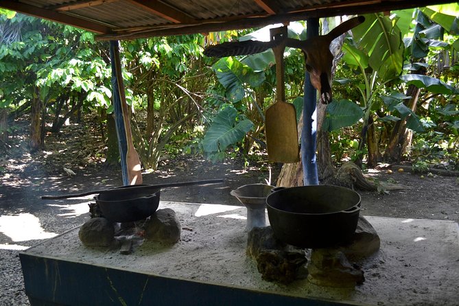 Dominican Republic Countryside Safari Tour from Punta Cana - Sugar cane, tobacco, coffee, and cocoa