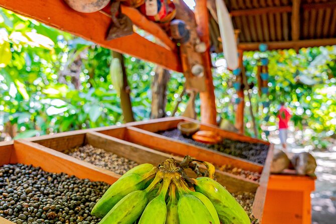 Dominican Republic Countryside Safari Tour from Punta Cana - Maria’s house and a taste of daily life
