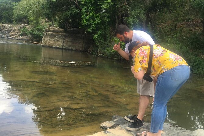 Dominican Republic Cultural Country Safari Tour from Punta Cana - Dominican food, coffee, cocoa, and tropical flavors