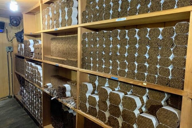 Don Lucas Cigar Factory & Store + Premium Rum Tasting (3 hours) - What the three-hour Punta Cana outing is really about