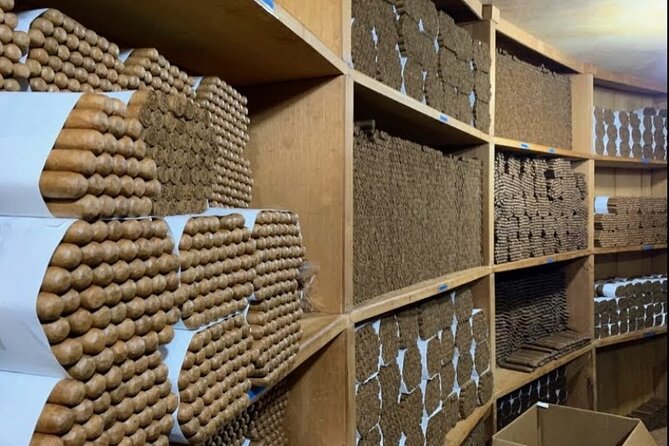 Don Lucas Cigar Factory & Store + Premium Rum Tasting (3 hours) - Rum tasting at the on-site bar