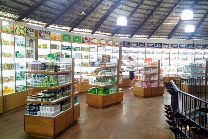 Don Lucas Cigar Factory & Store + Premium Rum Tasting (3 hours) - Pickup, communication, and the serious practical risk