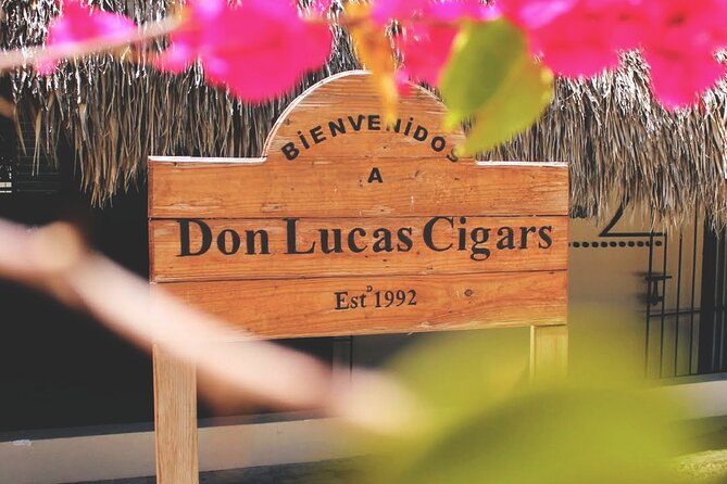 Don Lucas Cigar Factory & Store + Premium Rum Tasting (3 hours) - Watching the Don Lucas cigar makers at work