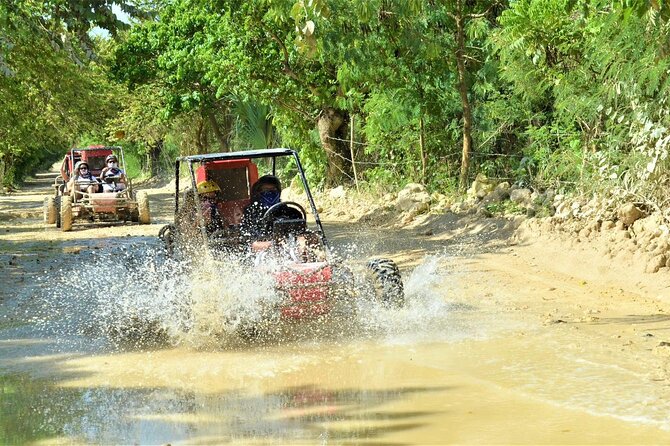 Dune Buggies Adventure in Punta Cana - Booking details and cancellation timing