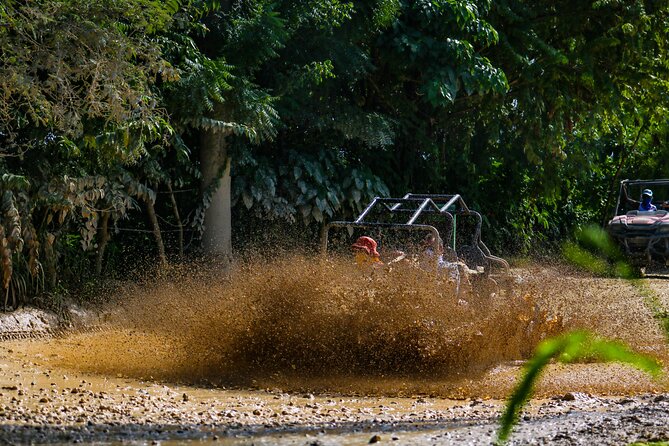 Dune Buggy Adventure at Punta Cana - Farm flavors: coffee, chocolate, mamajuana, and tea