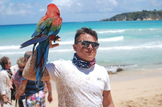 Dune Buggy Adventure by Caribbean Tour Service - What $44.99 really covers