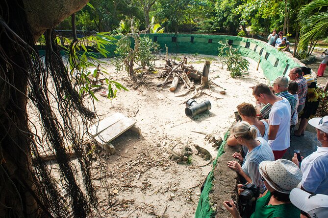 Eco Exploration: Golf Cart Adventure and Catamaran Cruise - A seven-hour route from farm life to open water