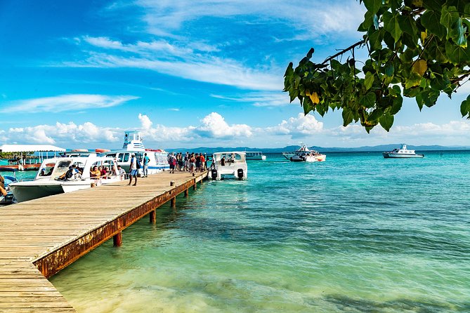 El Limon Waterfall and Bacardi Island Tour from Punta Cana with Lunch Included - Reaching the 120-foot El Limón Waterfall