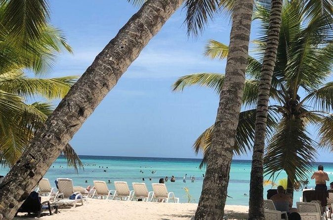 Excelence El Carmen - Round Trip Shuttle - Punta Cana Airport - Is $133.34 good value for your group?