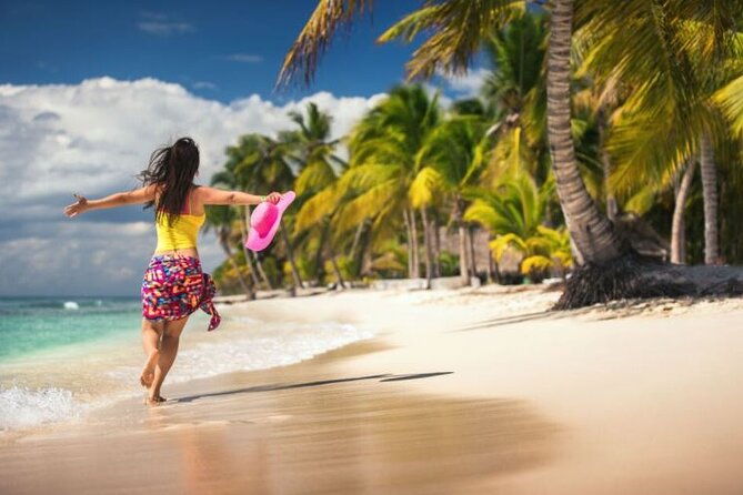 Excelence El Carmen - Round Trip Shuttle - Punta Cana Airport - What is included, and what is not