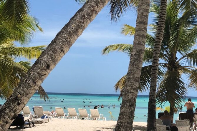 Excelence El Carmen - Round Trip Shuttle - Punta Cana Airport - How dependable is the service?