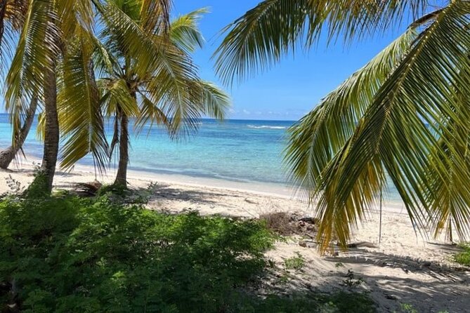 Exclusive Adventure in Saona: Small Group - Why this Saona day feels different from a standard boat trip