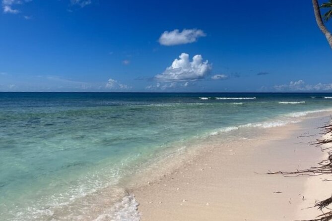 Exclusive Adventure in Saona: Small Group - Catuano: one hour of snorkeling near the piers