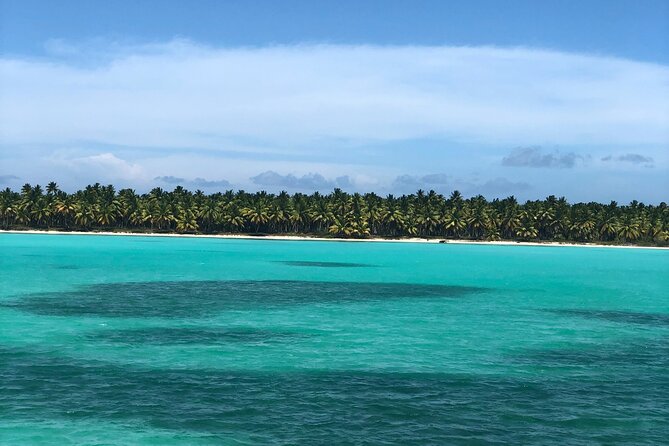 Exclusive Adventure in Saona: Small Group - The natural pool and giant starfish