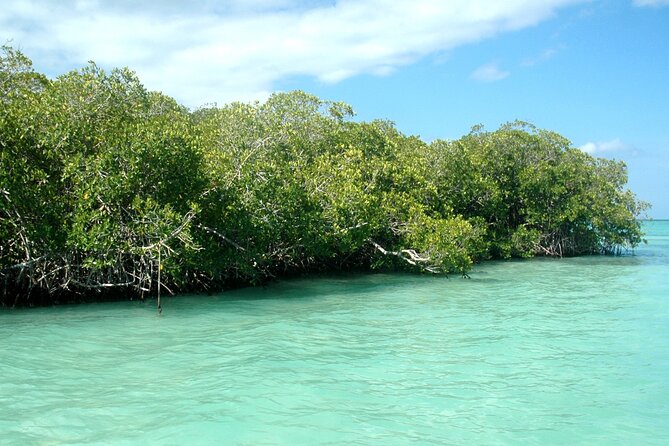 Exclusive Adventure in Saona: Small Group - The ride toward Cotubanama National Park