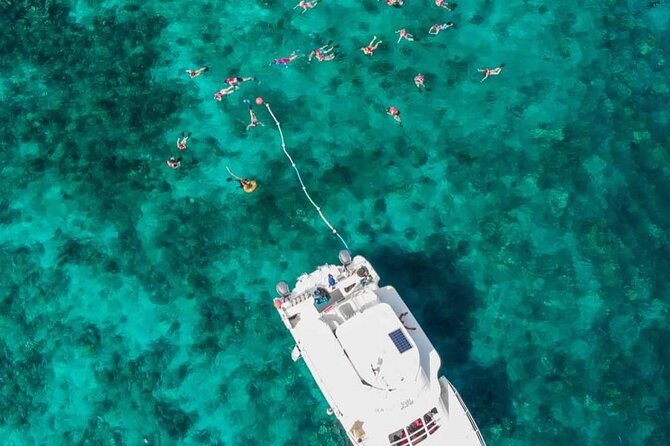 Excursion to Catalina Island and Snorkeling from Punta Cana - What the $79 Catalina Island day really includes