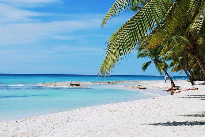 Excursion to Catalina Island and Snorkeling from Punta Cana - Catalina Island beach time and lunch