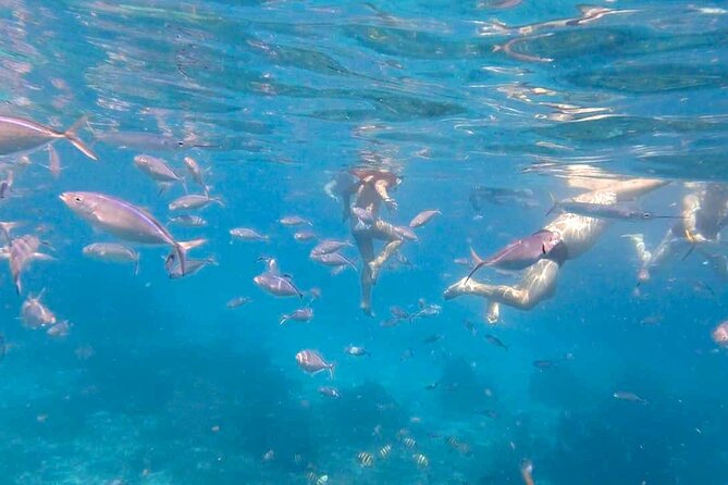 Excursion to Catalina Island and Snorkeling from Punta Cana - Practical concerns before you book