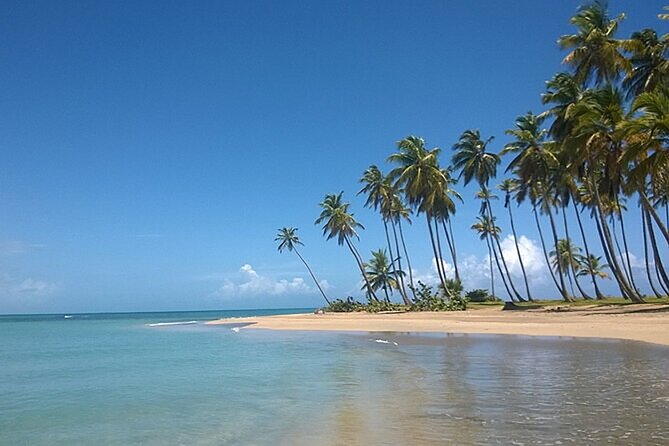 Excursion to Montaña Redonda and Playa Esmeralda from Punta Cana - Guides, group size, and the feel of the day