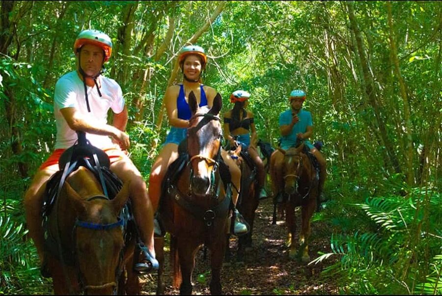 Exhilarating Buggy Tours: Discover Punta Cana Scenic Wonders - The pace, comfort, and practical tradeoffs
