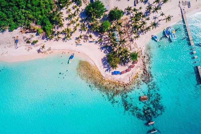 Experience Full Day Tour of Tropical Bliss at Isla Saona - Beach time on Isla Saona