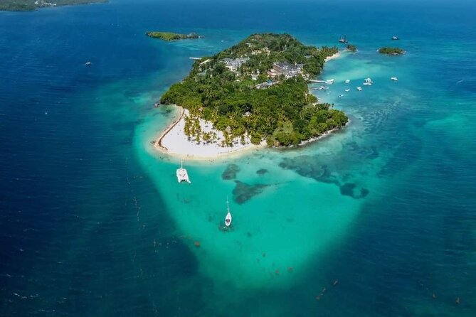 Experience Full Day Tour of Tropical Bliss at Isla Saona - Dominican buffet lunch and included drinks