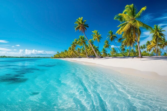 Explore Catalina Island & Snorkeling Adventure from Punta Cana - Key points to know before booking