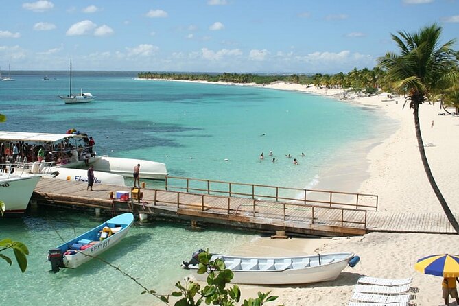 Explore Catalina Island & Snorkeling Adventure from Punta Cana - The Wall, Catalina Island’s underwater highlight