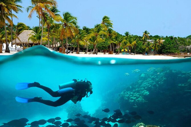 Explore Catalina Island & Snorkeling Adventure from Punta Cana - A Dominican lunch beside the sea