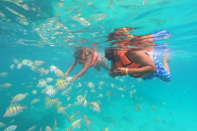 Explore Catalina Island & Snorkeling Adventure from Punta Cana - Cancellation and weather details