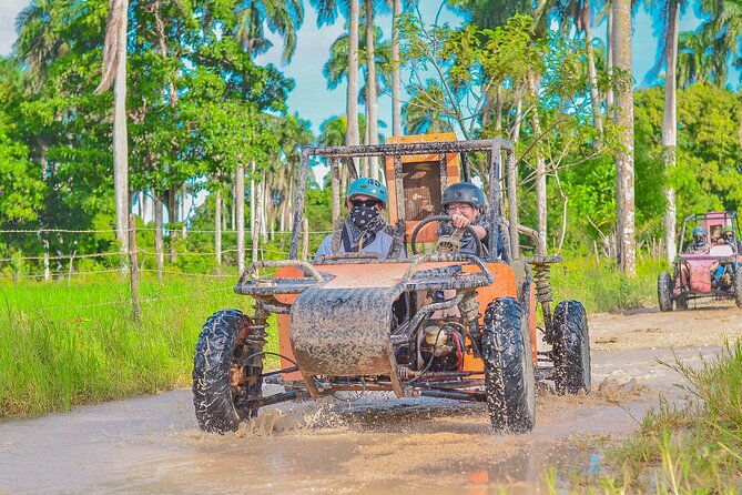 Explore Punta Cana in Buggy - Key points at a glance