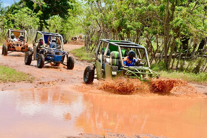 Family Buggy Adventure in Punta Cana – Up to 4 People per Vehicle - Who should book this experience