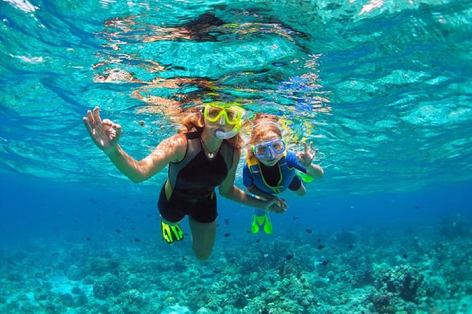 Family Snorkeling Adventure Punta Cana - Starting at Bavaro Beach with SeaPro Divers